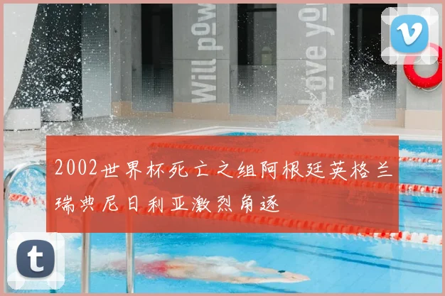 2002世界杯死亡之组阿根廷英格兰瑞典尼日利亚激烈角逐