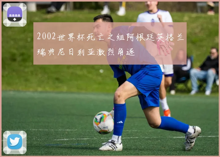 2002世界杯死亡之组阿根廷英格兰瑞典尼日利亚激烈角逐