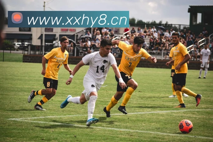 beat365唯一官方网站APP 封面图